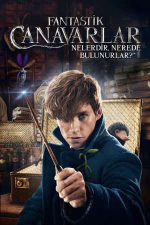 Fantastik Canavarlar Nelerdir, Nerede Bulunurlar? – Fantastic Beasts and Where to Find Them (2016)