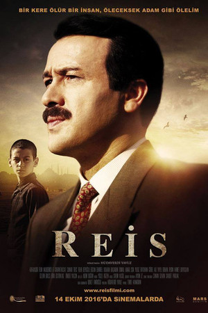 Reis (2017)