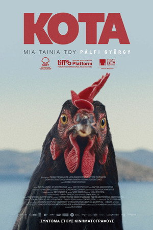 Tavuk – Hen (2026)